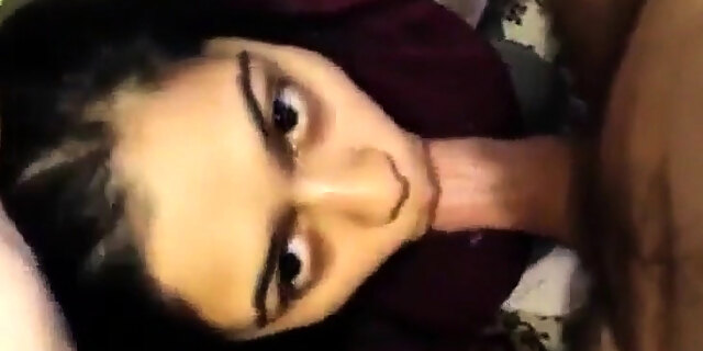 amateur,blowjob,brunette,indian,pov